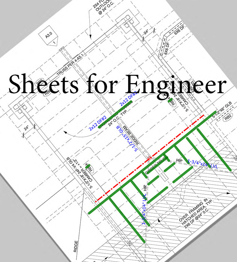 Delphina_clean sheets for Engineer
