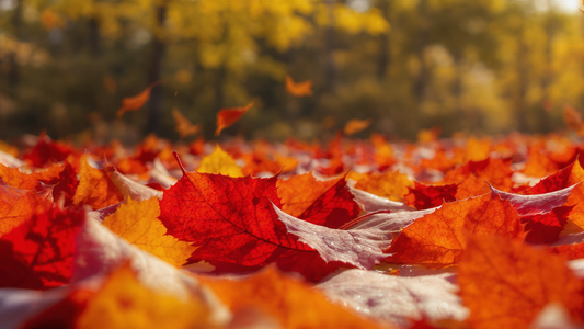 Fall: The Perfect Time to Start Your Design Planning