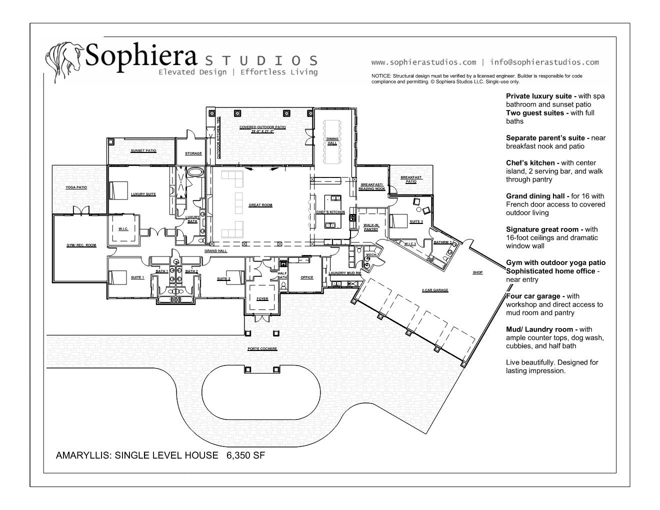 0003_Amaryllis_Dream_Board_pamphlet (11 x 8.5)