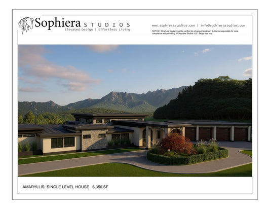 0003_Amaryllis_Dream_Board_pamphlet (11 x 8.5)